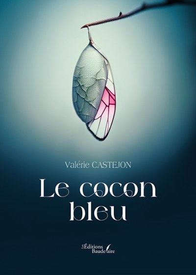 CASTEJON VALERIE - Le cocon bleu
